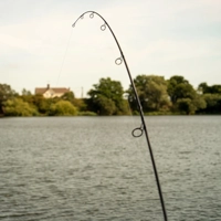 OMC Black Pearl Carp Rods